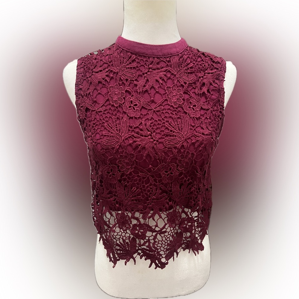 Forever 21 Burgundy Lace Crop Top